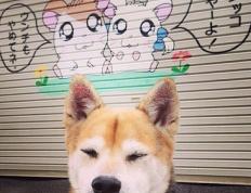 世俱杯改制-烽火索契，乌克兰对阵比利时之夜，罗德里高能输出改写战局