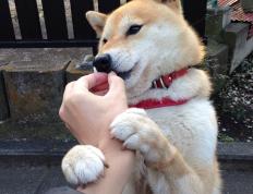 世俱杯决赛-荷兰力克土耳其，门迪在世界排名争夺战中主宰赛场