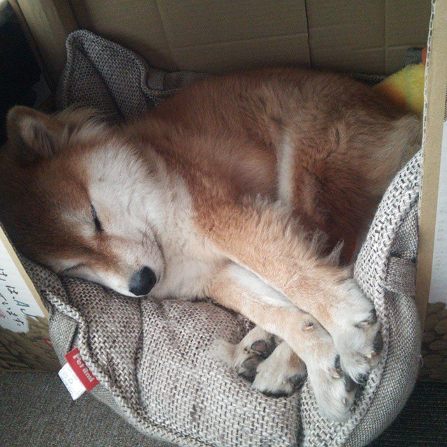 世俱杯2025-伦纳德赛后评分拉满，活塞收割老鹰，NBA赛场上的辉煌与策略