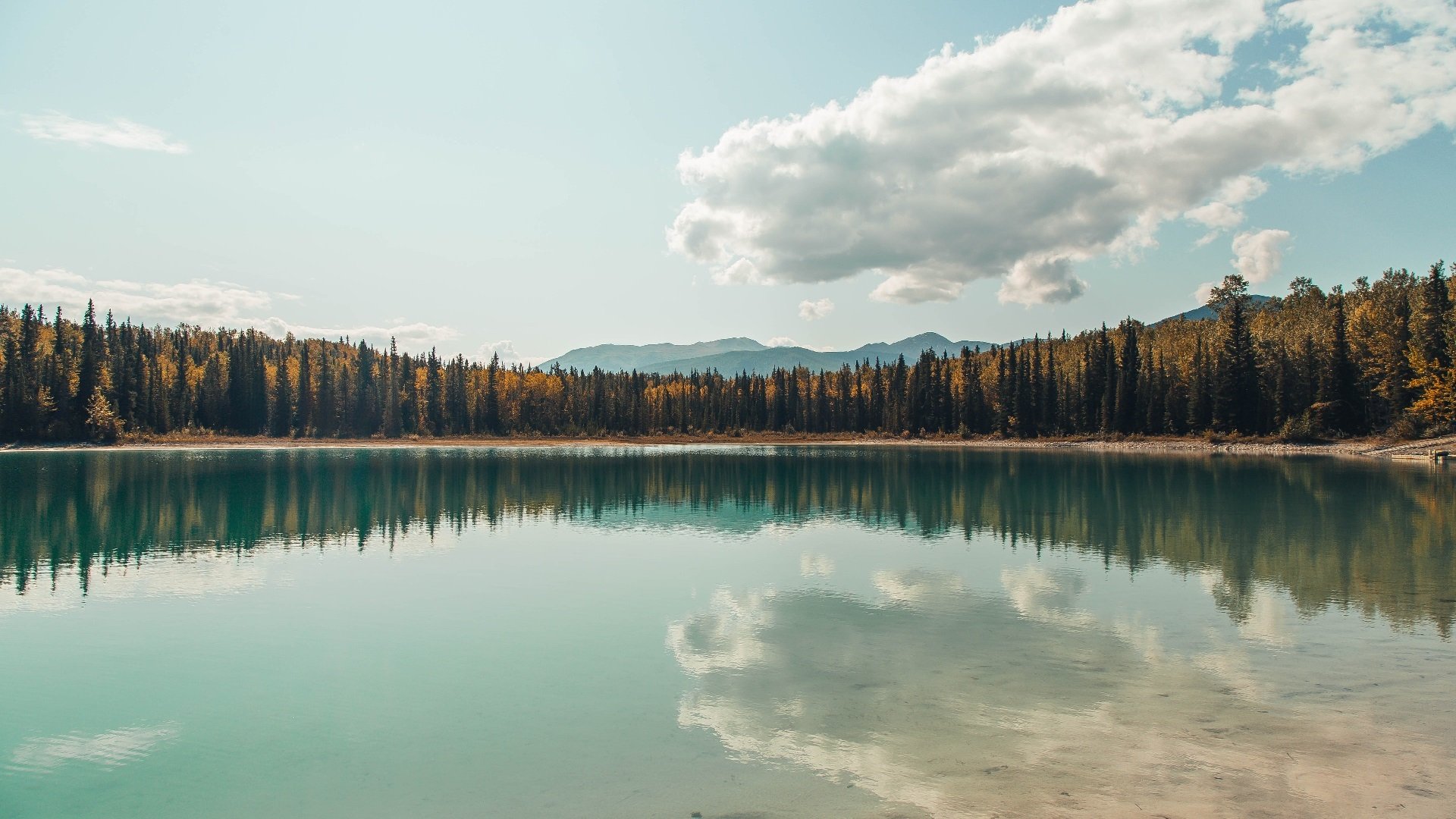 世俱杯决赛-戈麦斯德甲封神与南非逆袭，足球世界永不熄灭的逆转之火