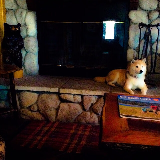 世俱杯2025-制胜引擎,巴尔韦德全能爆发,马德里竞技主场轻取乌克兰劲旅