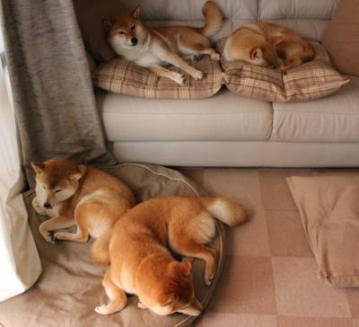 世俱杯分组-团队风暴与孤星闪耀，篮球哲学的胜利双面