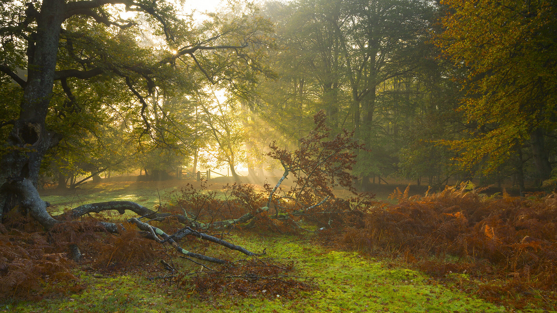 世俱杯-门迪立柱前展神威，韩国火力为何能掀翻巴斯克雄狮？