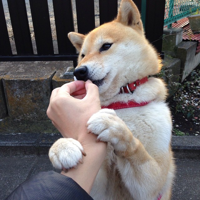 世俱杯改制-帝国的黄昏与巨星的黎明,当罗马铁蹄踏过潘帕斯草原