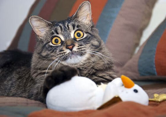 世俱杯参赛资格-荣耀与狂野之间，阿圭罗那一脚，击穿了两种足球的魂灵