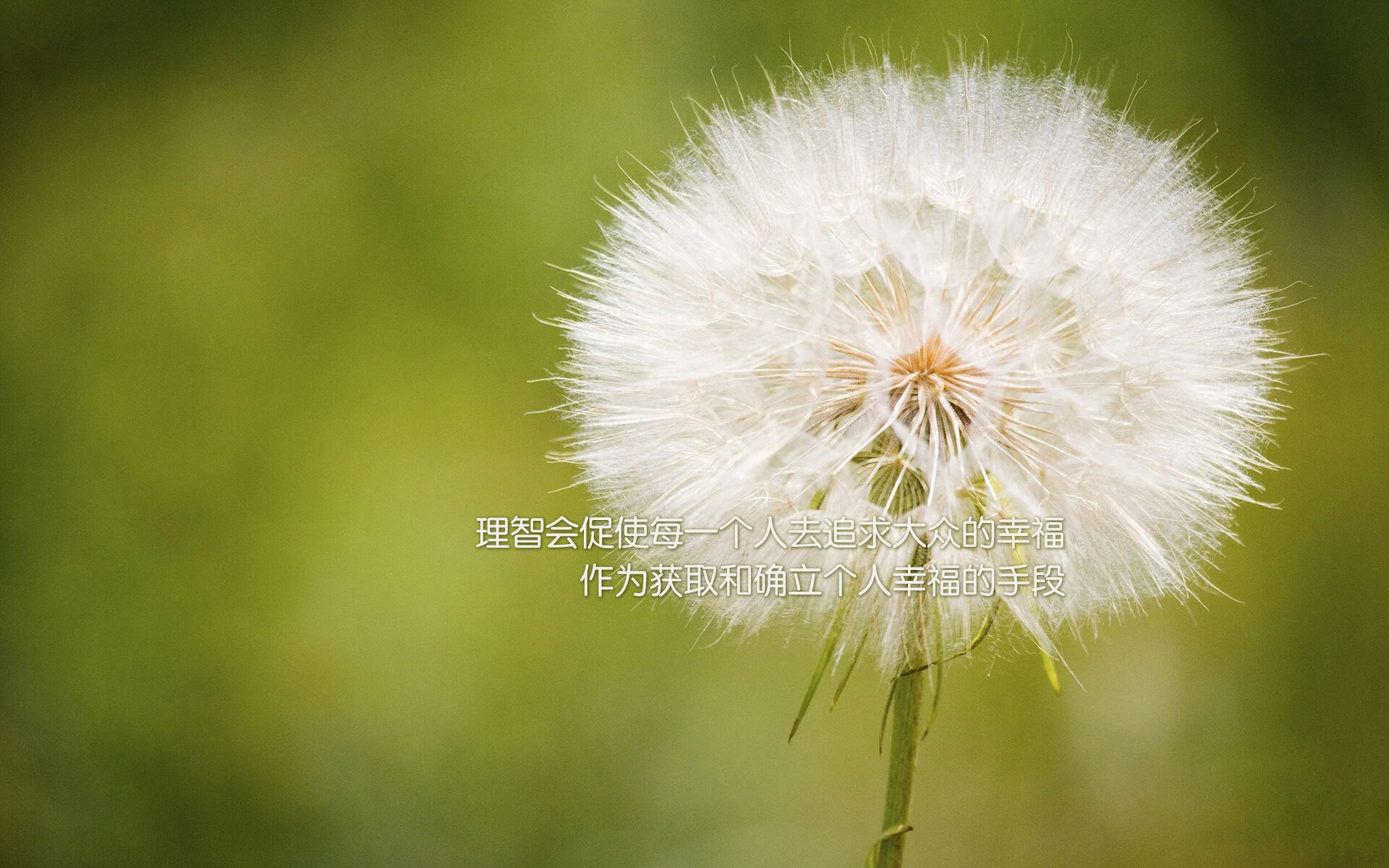 世俱杯决赛-老鹰火箭激战，库里进攻端无人可挡的启示