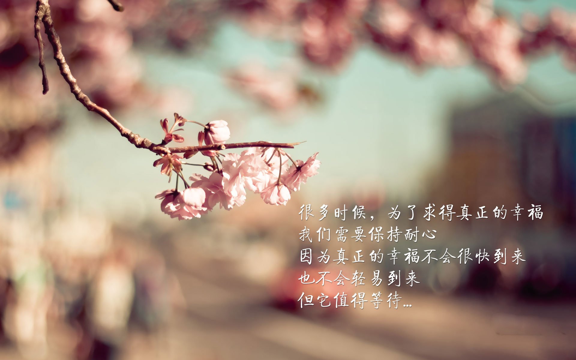 世俱杯参赛资格-节奏制胜,奥地利完美掌控玻利维亚,奥纳纳统治级数据闪耀全场