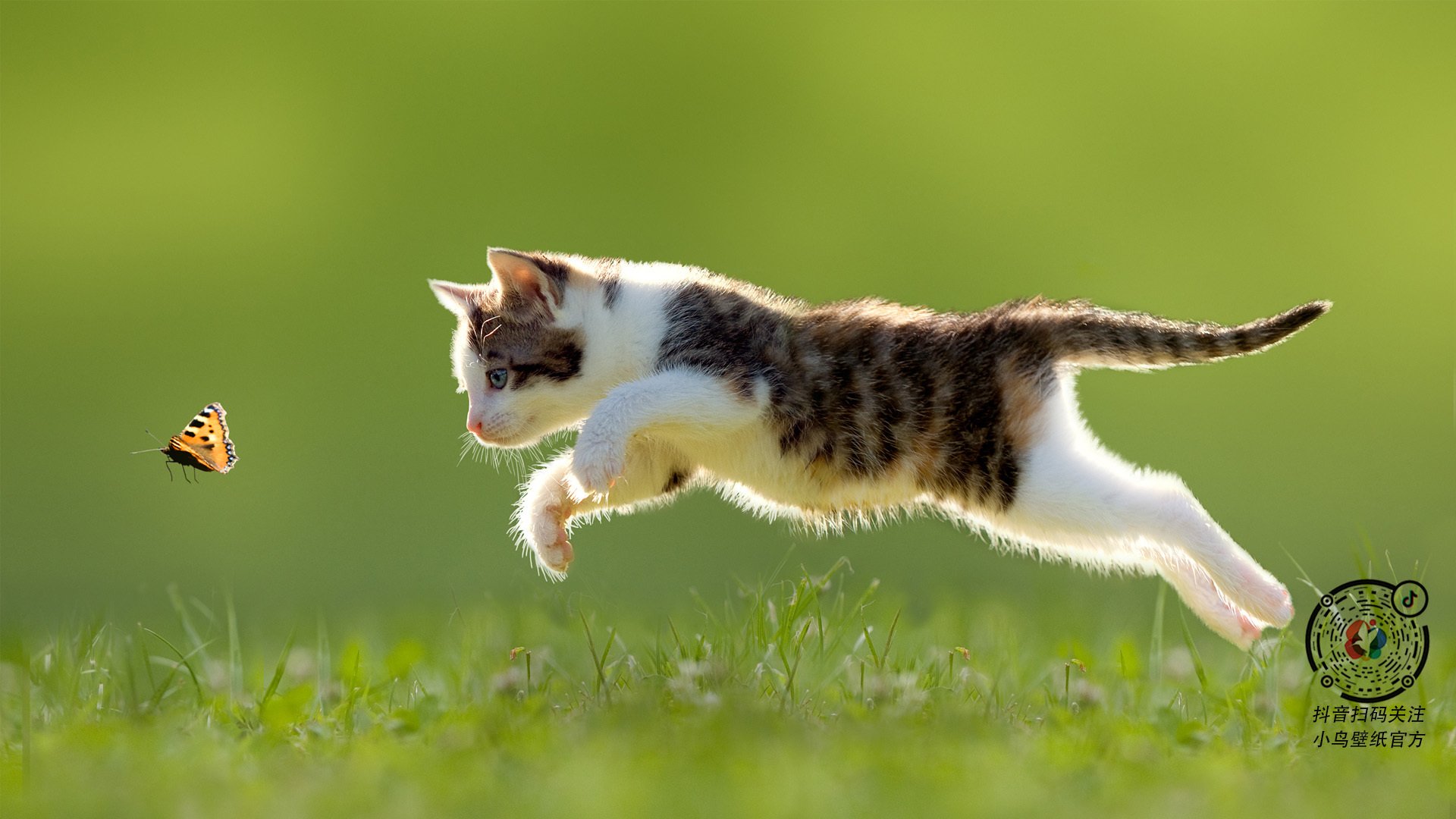 世俱杯参赛资格-星耀之夜,东契奇如何用篮球书写季后赛传奇